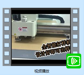 Video Presentation
